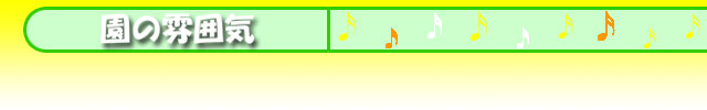 �C���[�W�摜